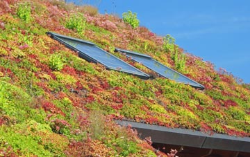 Abbess Roding living roof systems