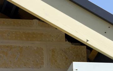 soffit repair Abbess Roding